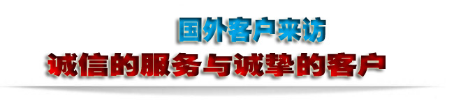 國(guó)外客戶來(lái)訪-2。。.jpg